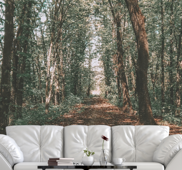 Foto behang bos serene boswandeling - TenStickers
