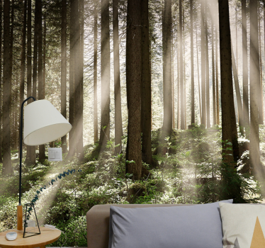 Foto behang bos stralende bosstralen - TenStickers