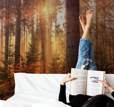 Foto behang bos stralende bosverlichting - TenStickers