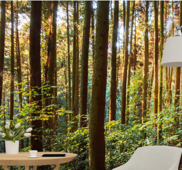 Foto behang bos weelderig groen woud - TenStickers