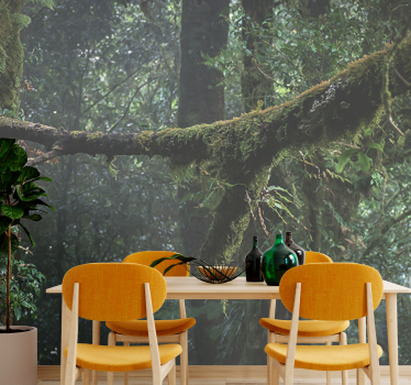 Foto behang bos weelderige groene boomtoppen - TenStickers