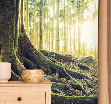 Foto behang bos zonovergoten boomwortels - TenStickers