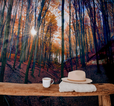 Foto behang bos zonovergoten herfstbos - TenStickers