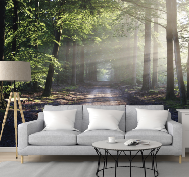 Fotobehang bomen donker bos met zonlicht - TenStickers