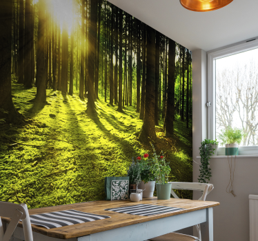 Fotobehang bos met stralend zonlicht - TenStickers