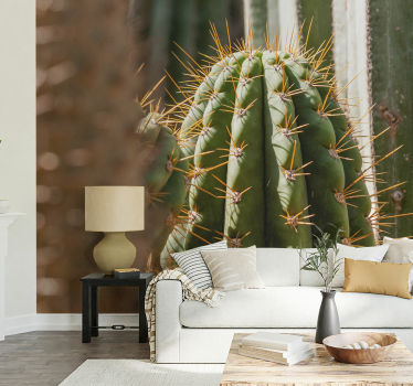Cactus van dichtbij fotobehang woestijn - TenStickers