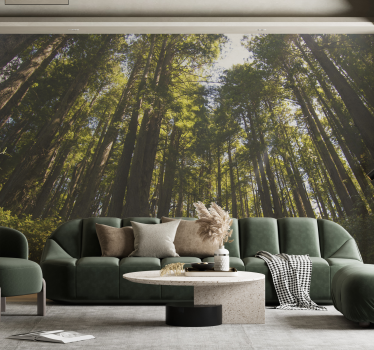 Grote bomen Fotobehang bos - TenStickers