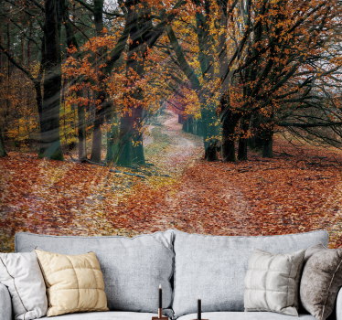Herfstpad foto behang bos - TenStickers