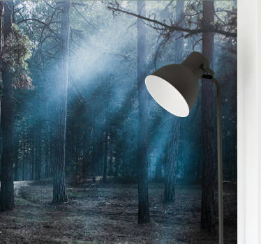 Mistig mistig pad foto behang bos - TenStickers