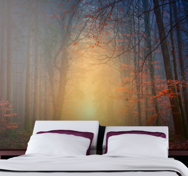 Mistige herfstbomen foto behang bos - TenStickers