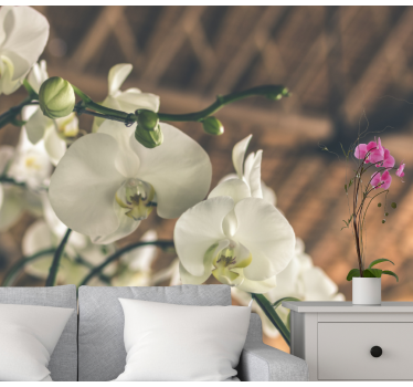Orchideeën fotobehang elegante orchideeënbloesems - TenStickers