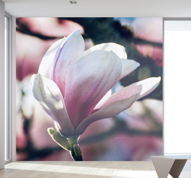 Orchideeën fotobehang zachte roze bloem - TenStickers
