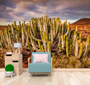 Uitzicht op cactuslandschap foto behang bos - TenStickers