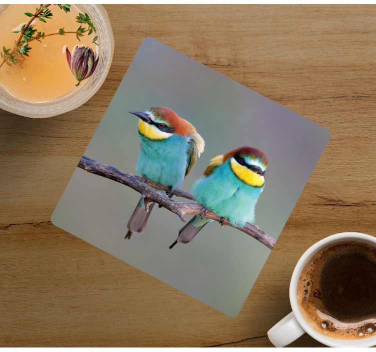 Moderne onderzetters met kleurrijke vogels erop - TenStickers