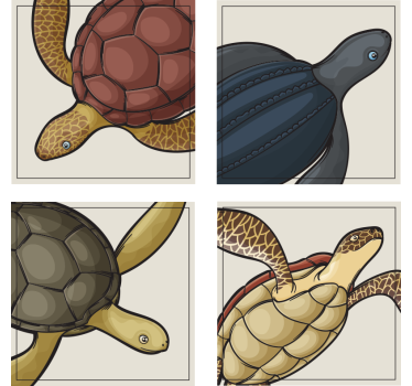 Enge onderzetters met kleurrijke schildpadillustraties - TenStickers