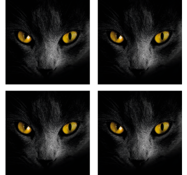 Zwarte kat halloween onderzetter - TenStickers