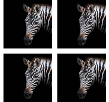 Moderne onderzetters met zebra hoofd illustratie - TenStickers