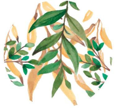 Bier onderzetters bladerige groene botanische - TenStickers