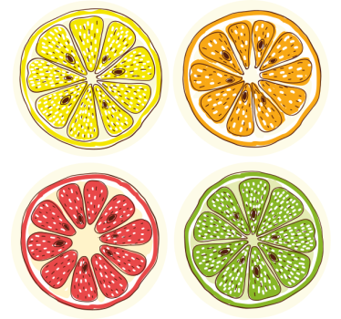 Motieven van citrusvruchtenschijfjes enge onderzetters - TenStickers