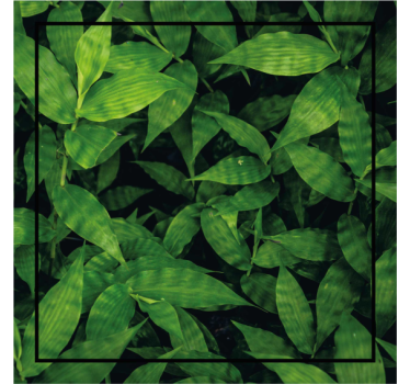 Onderzetters lush groen bladeren patroon - TenStickers