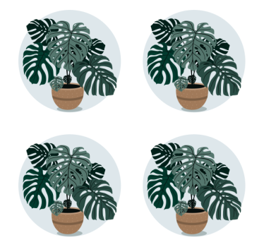 Moderne onderzetters monstera plantenillustratie - TenStickers