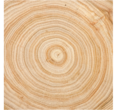 Onderzetters houten structuur cirkel - TenStickers
