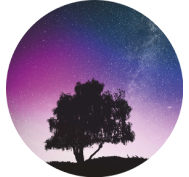 Moderne onderzetters sterrennacht boom - TenStickers