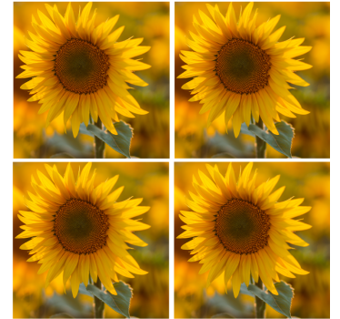 Moderne onderzetters stralende zonnebloem arrangement - TenStickers
