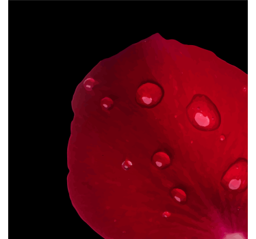 Onderzetters dewy rozenblaadje - TenStickers
