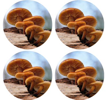 Moderne onderzetters paddenstoelencluster arrangement - TenStickers