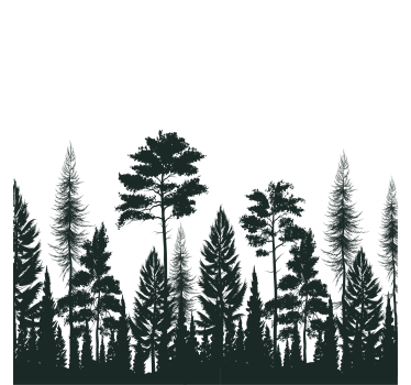 Onderzetters silhouet van hoge dennen - TenStickers