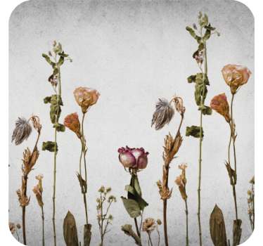 Onderzetters droogbloemen arrangement - TenStickers