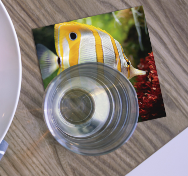Moderne onderzetters met heldere visafbeelding - TenStickers