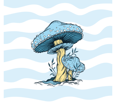 Poster keuken blauwe paddenstoel illustratie - TenStickers