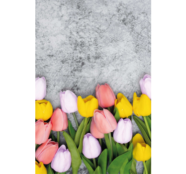 Poster keuken vergelijkbare tulp bloemen - TenStickers