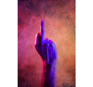 Poster tienerkamer juveniel f*ck you - TenStickers