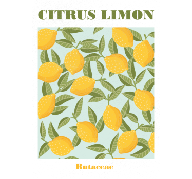 Citroen fruit poster - TenStickers