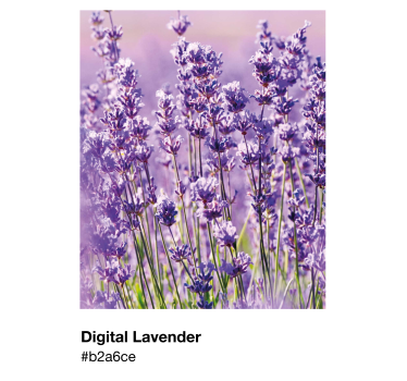 Pantone digitaal lavendel poster - TenStickers