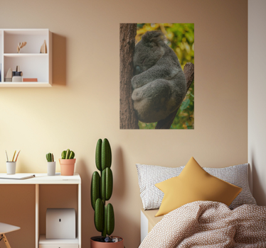 Koala slapend poster tienerkamer - TenStickers