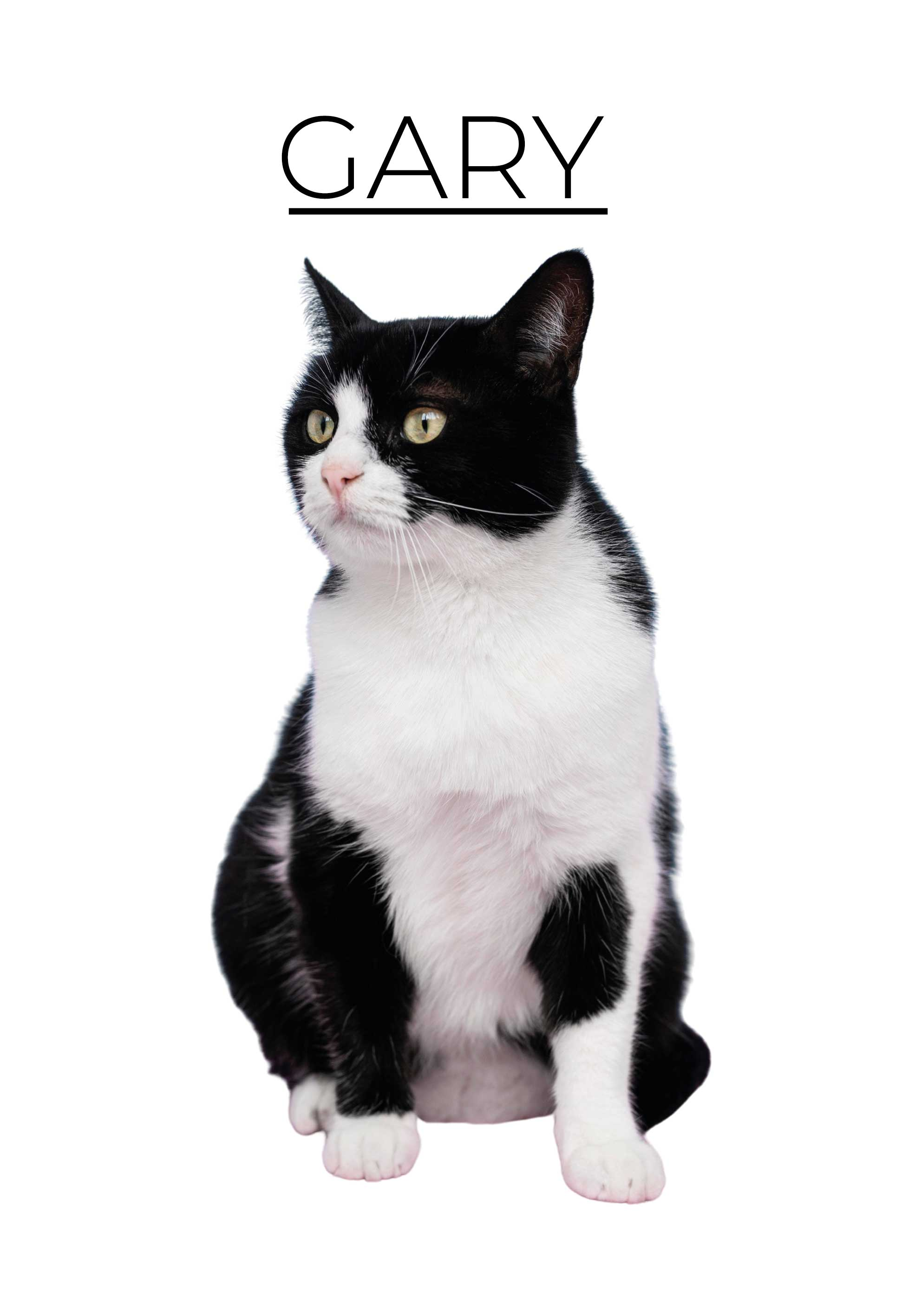 Gepersonaliseerde minimalistisch andere dieren poster - TenStickers