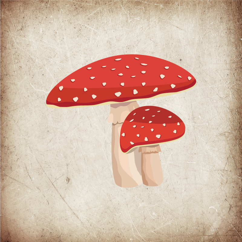 Poster keuken amanita paddestoel illustratie - TenStickers