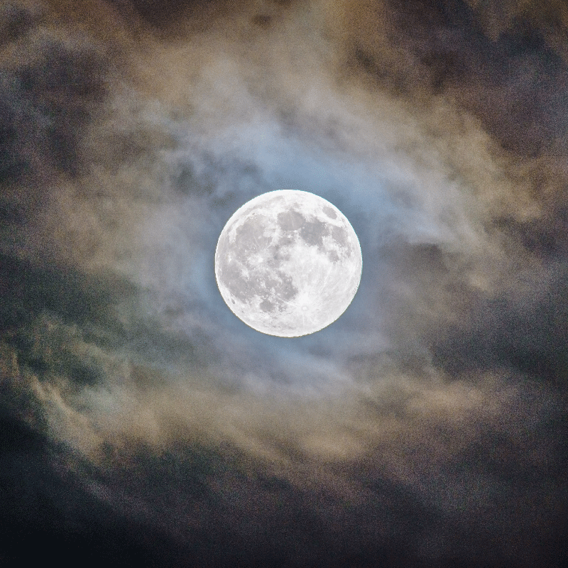 Mooie poster woonkamer volle maan nacht - TenStickers