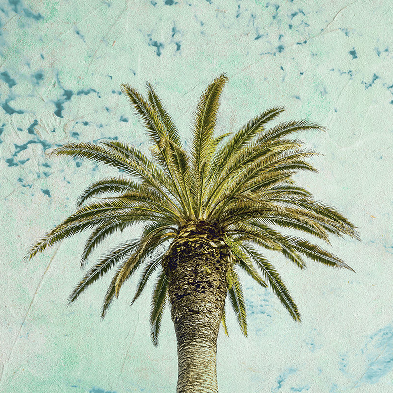 Mooie poster woonkamer retro palmboom ontwerp - TenStickers