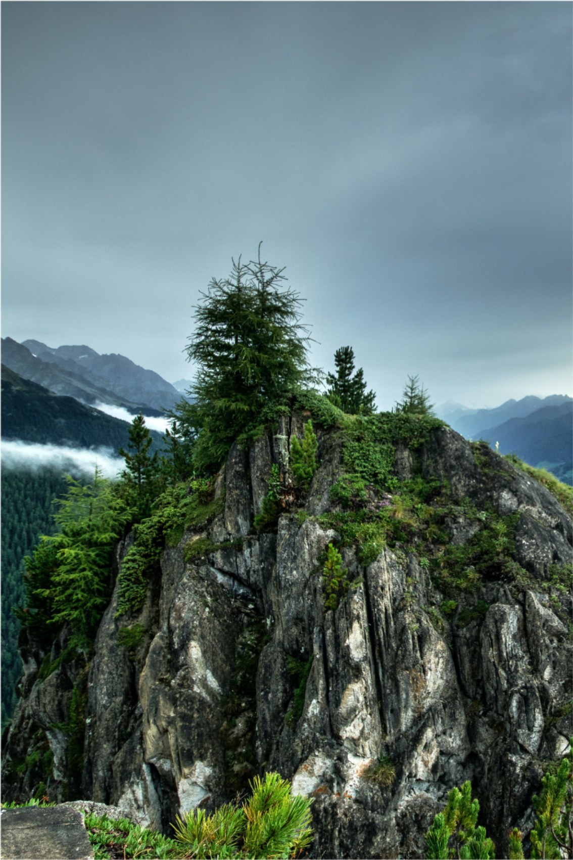 Mooie poster woonkamer enkele rots in groen bos - TenStickers