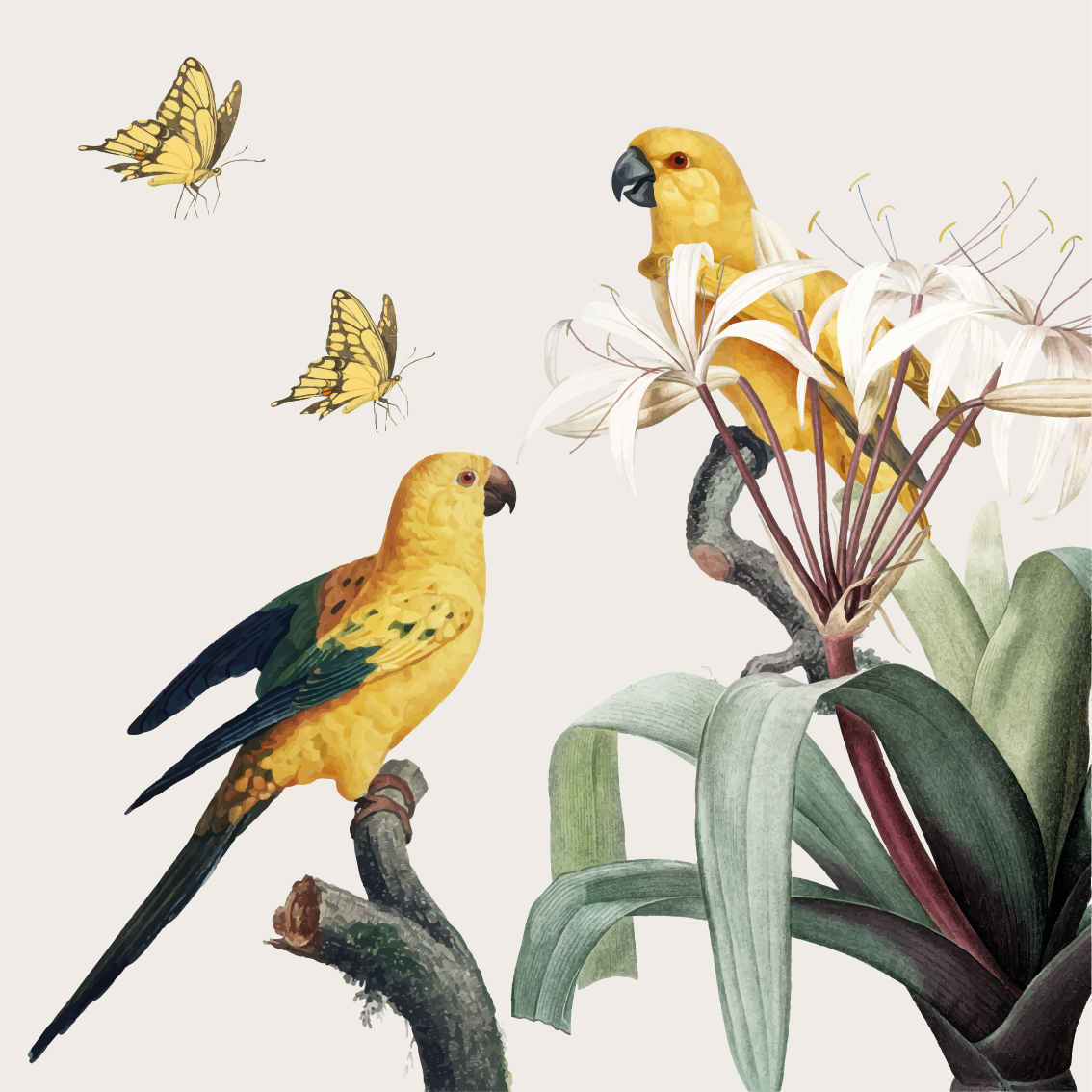Mooie poster woonkamer papegaaien met gele bloemen en vlinders - TenStickers