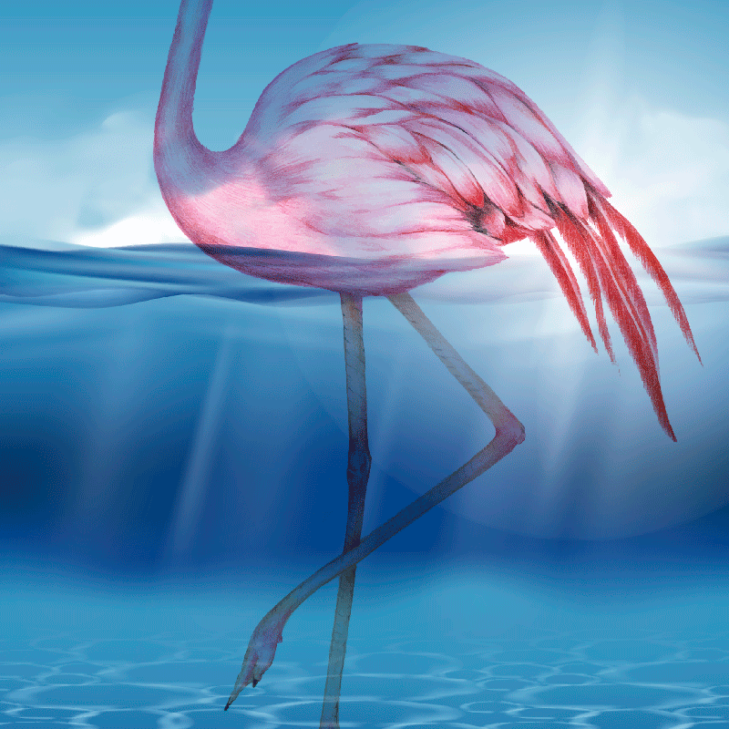 Mooie poster woonkamer onderwaterontwerp van flamingo - TenStickers