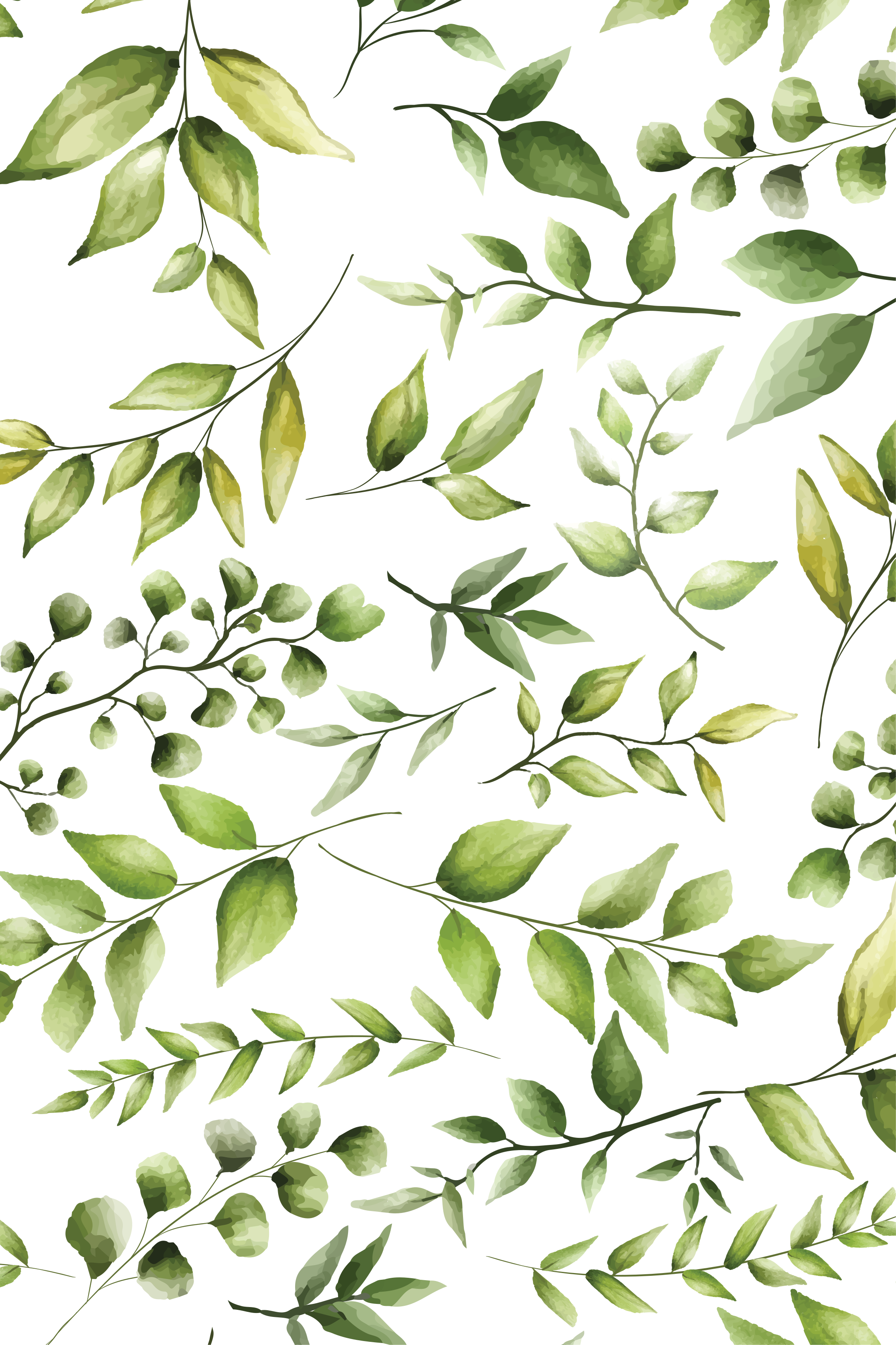 Planten poster waterverf eucalyptus bladeren - TenStickers