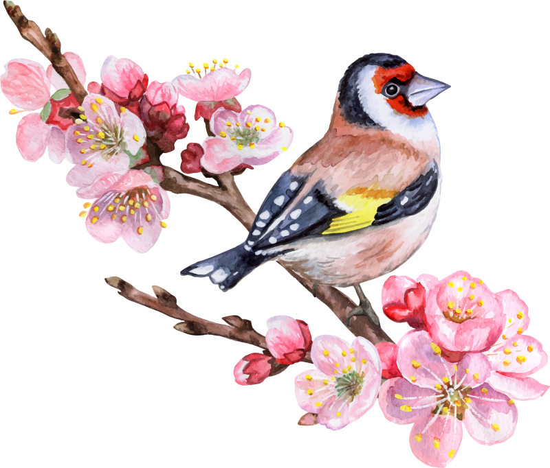 Bomen poster lente takken met vogels - TenStickers