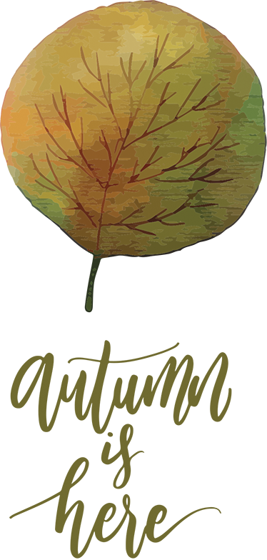 Bomen poster herfst is hier - TenStickers