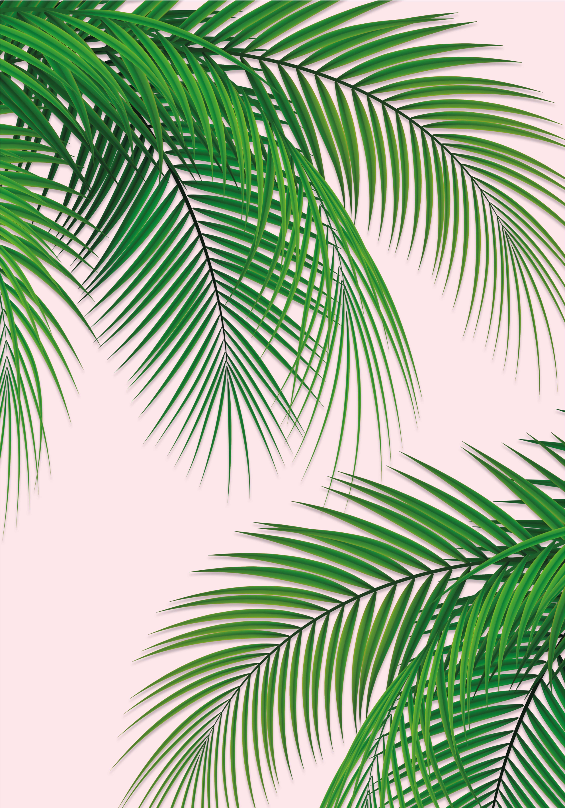Bomen poster tropisch blad - TenStickers